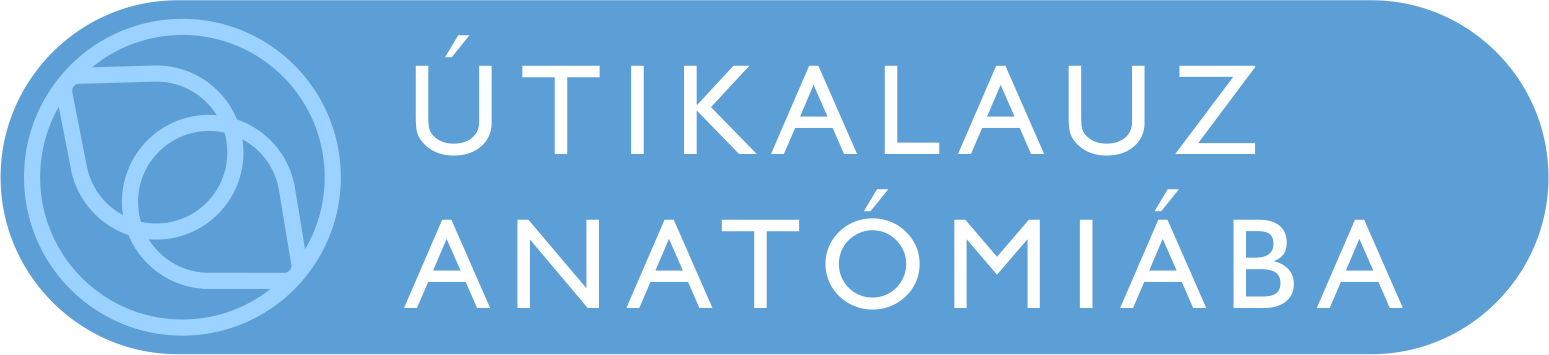 Útikalauz Anatómiába